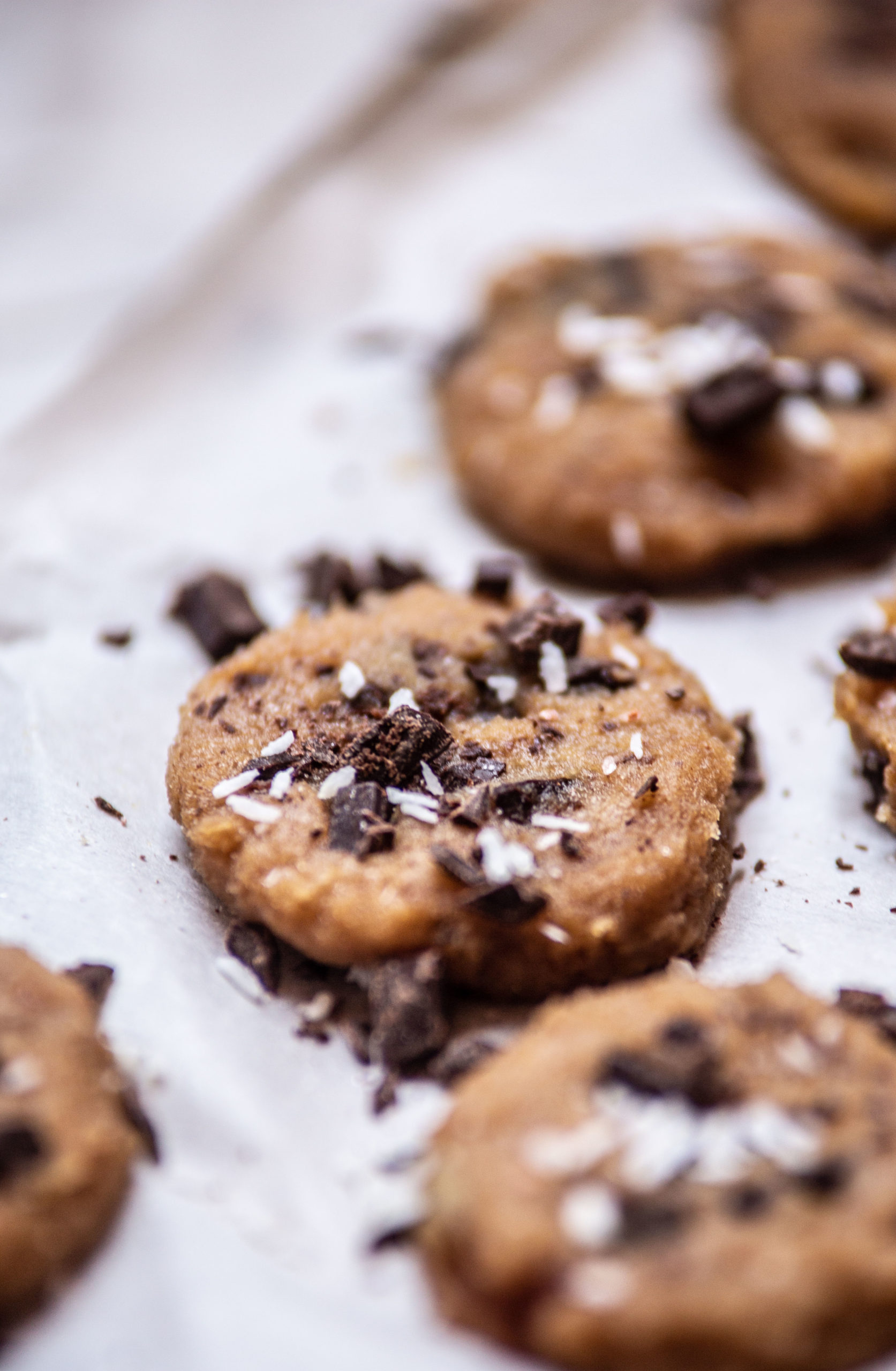 Raw Cookies au chocolat et au reishi