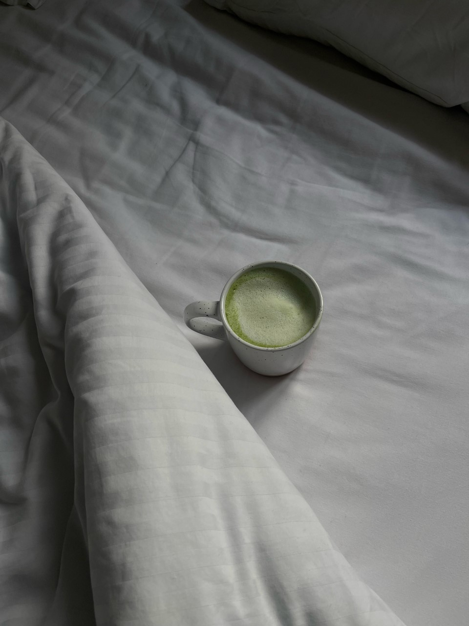 La recette de Matcha Latte facile!